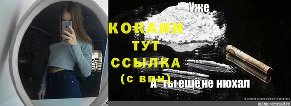 сатива Беломорск