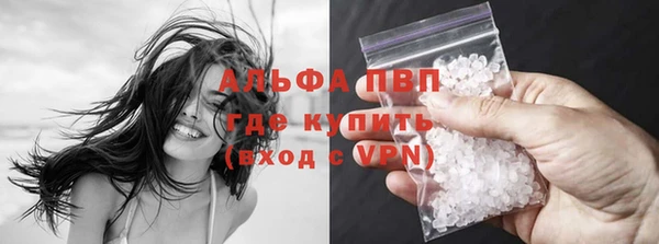 гашик Баксан