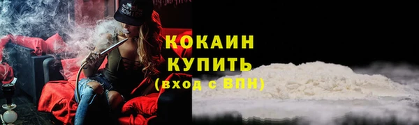 сатива Беломорск