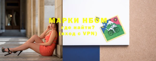 сатива Беломорск
