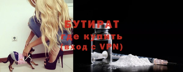 сатива Беломорск