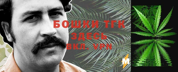 прущие крисы Белокуриха