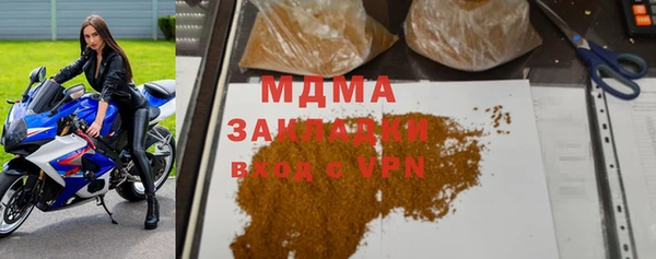 сатива Беломорск
